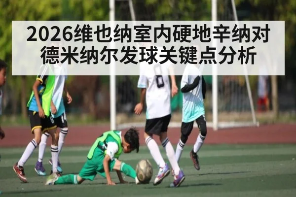 2026维也纳室内硬地辛纳对德米纳尔发球关键点分析